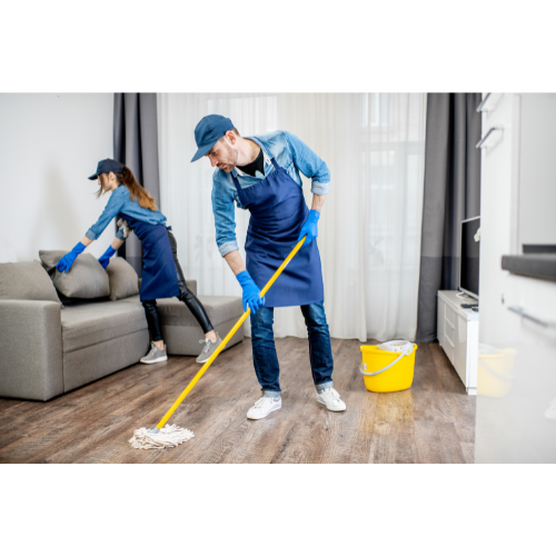 Ev Temizlik Fiyatları 2025
